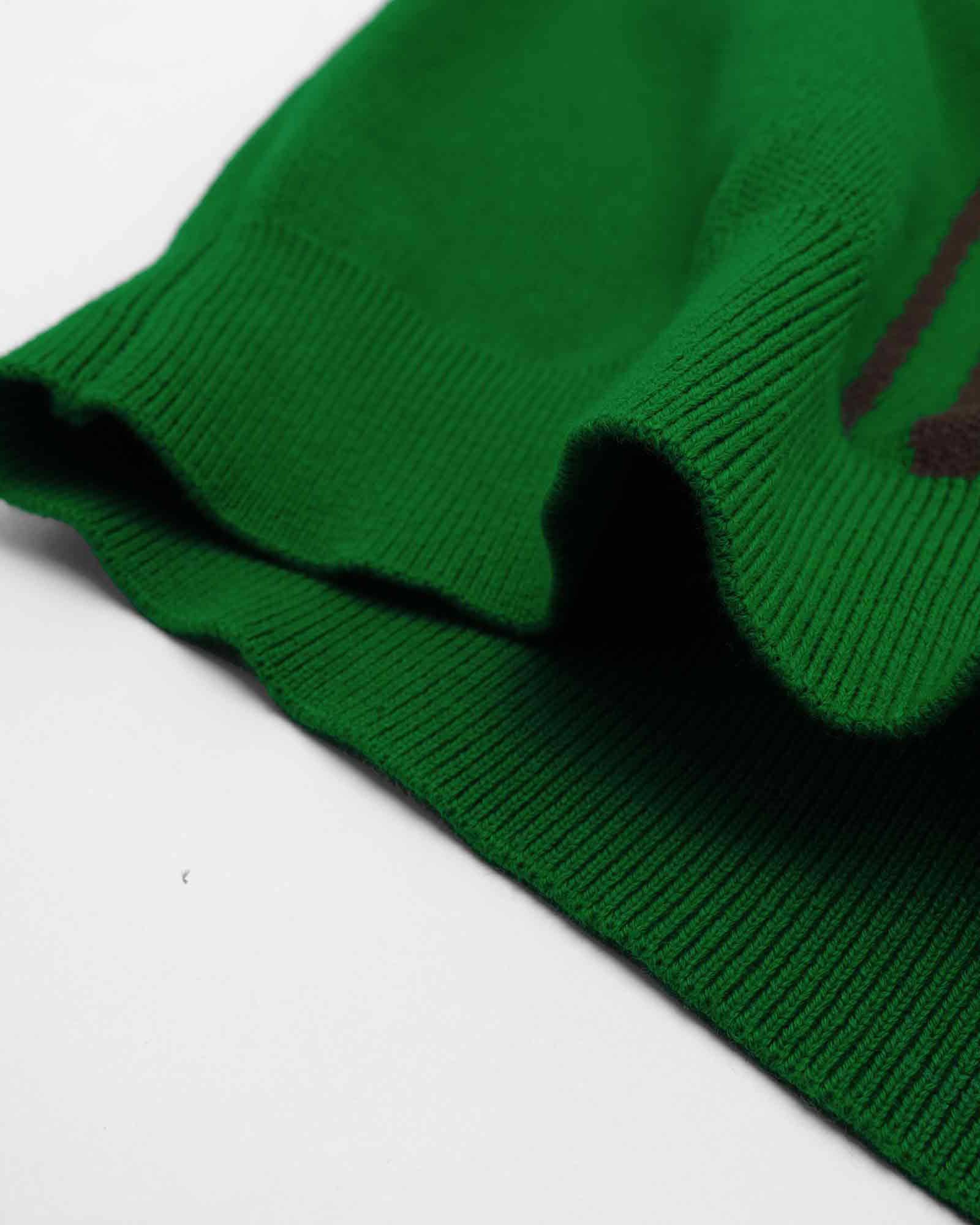Basil Knit Sweater Polo in green - front view