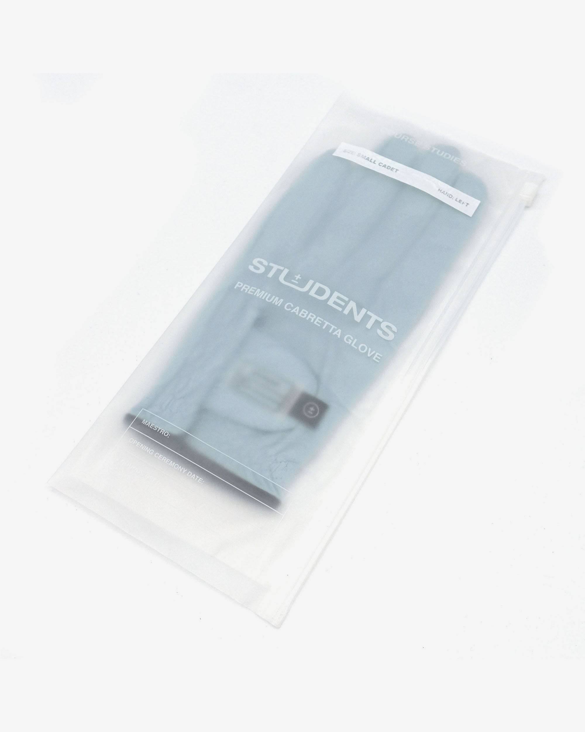 Lesson 1 Cabretta Gloves - Students Golf