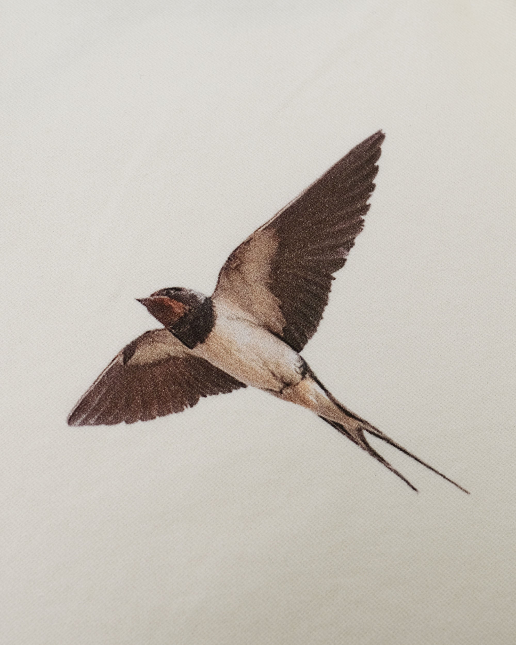 Students Golf - Windmill Chore Jacket