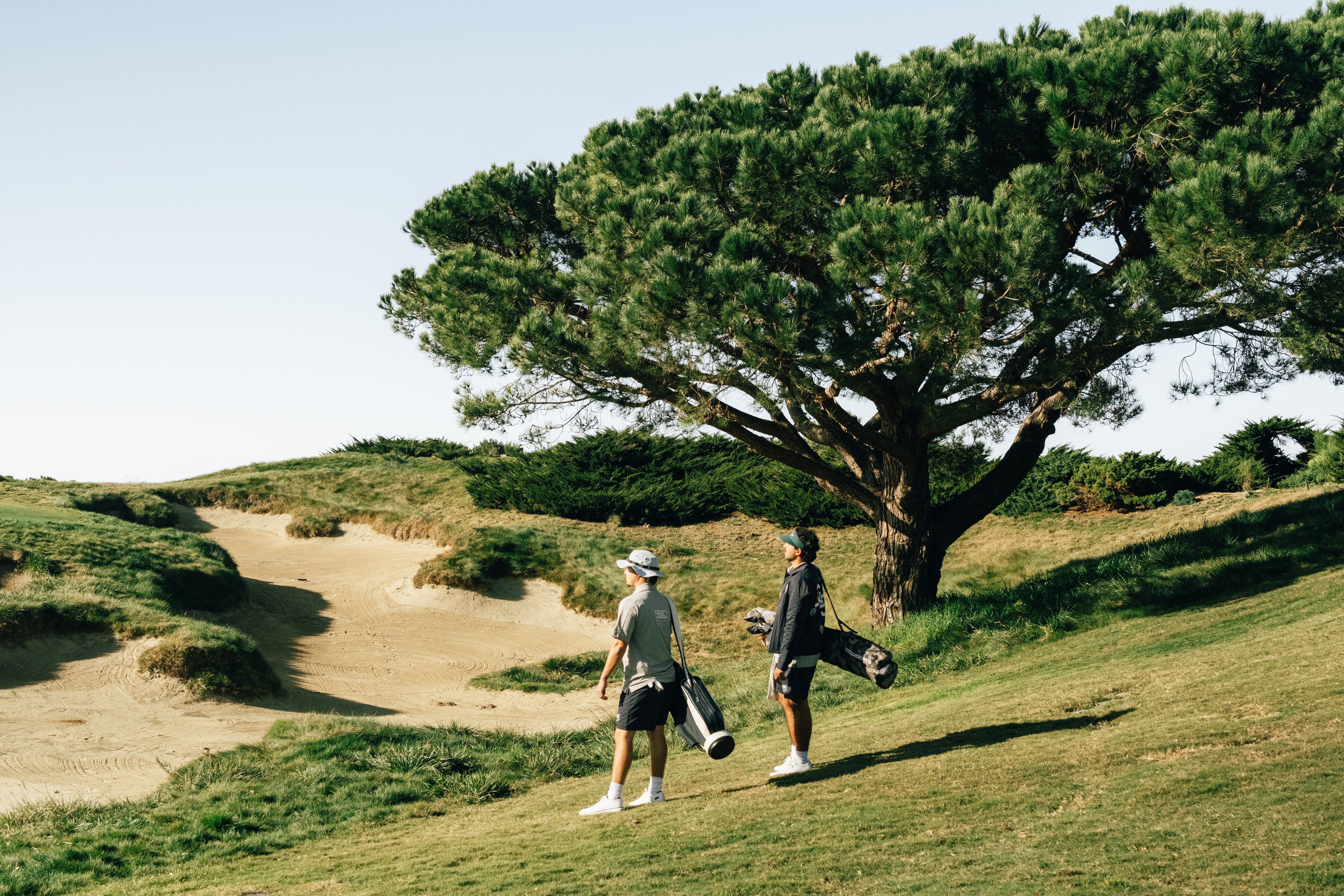 Two golfers walking on a golf course with a large tree in the background