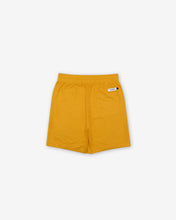 Load image into Gallery viewer, Keaton Mesh Shorts

