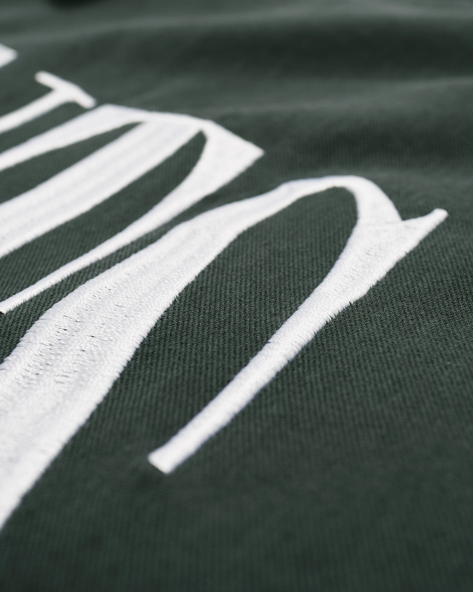 Close-up of a green fabric with white embroidered design