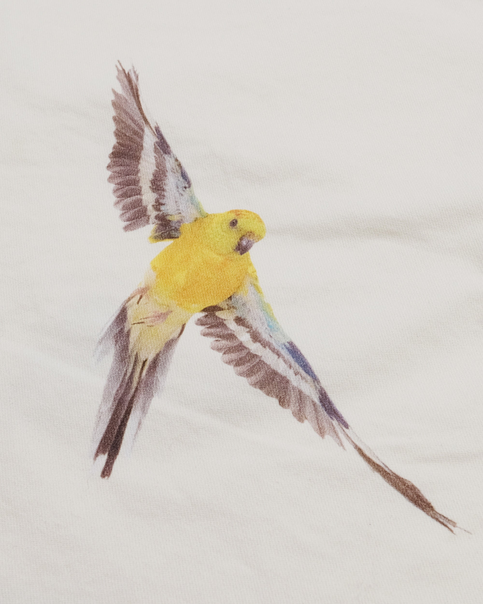 Students Golf - Daybreak Pants