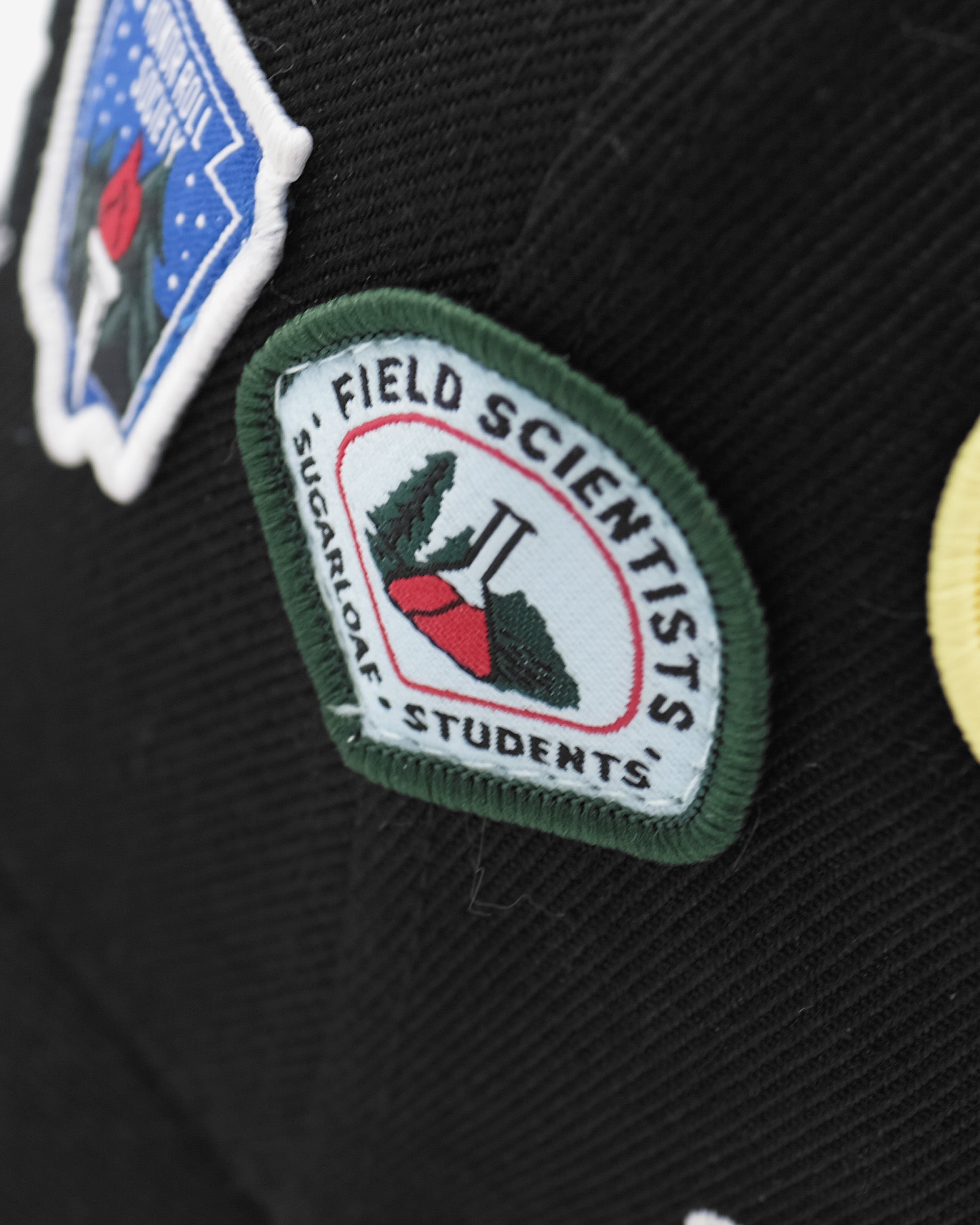 Patch on a black background with 'Field Scientists Students' text
