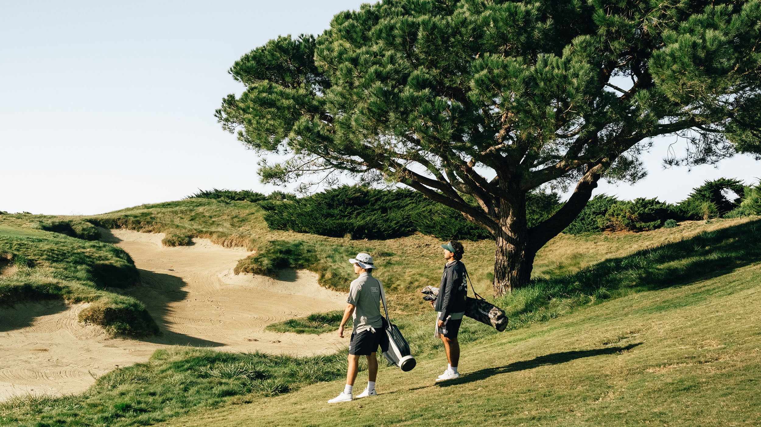 Two people walking on a golf course with a large tree in the background