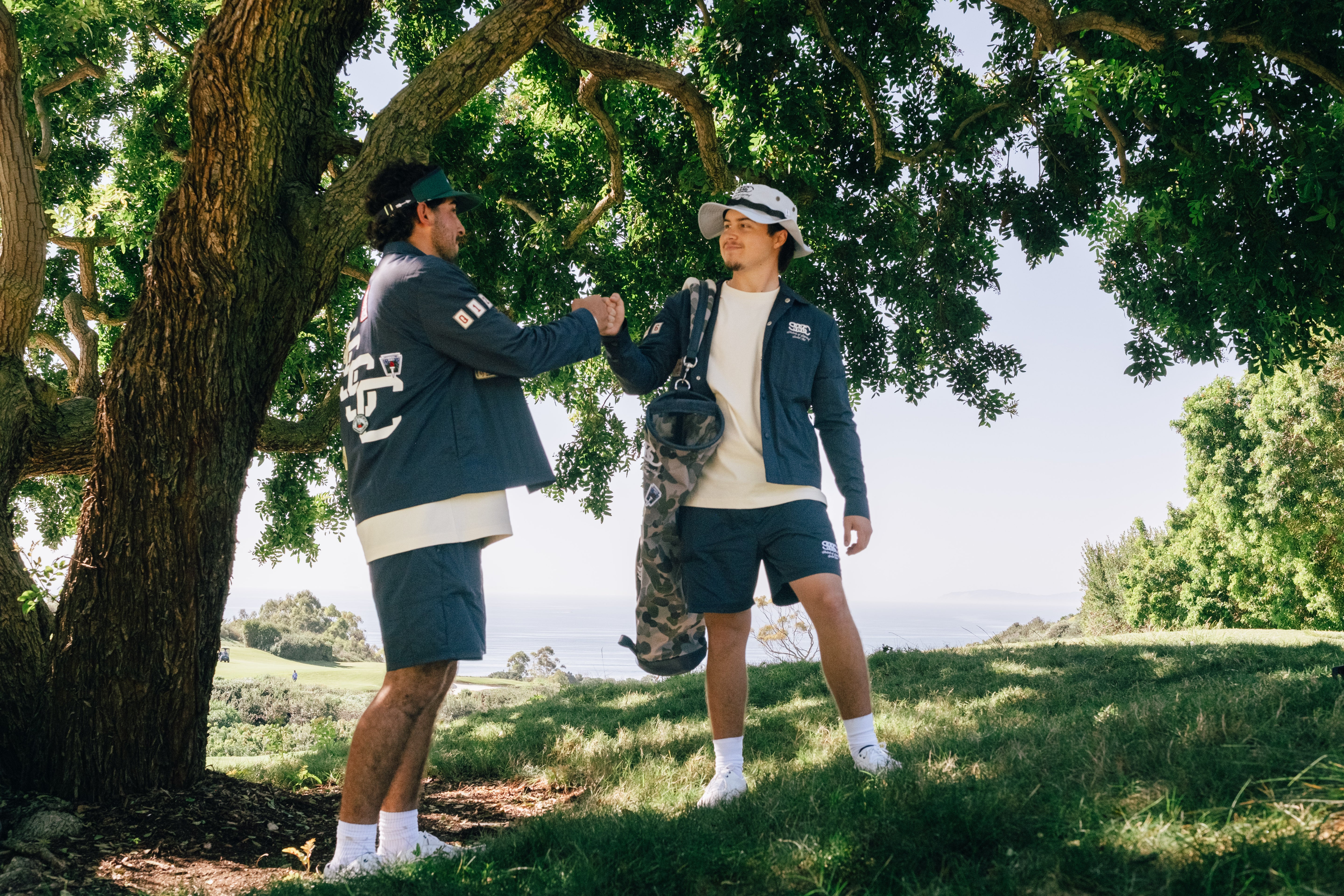Two people shaking hands under a tree in a park